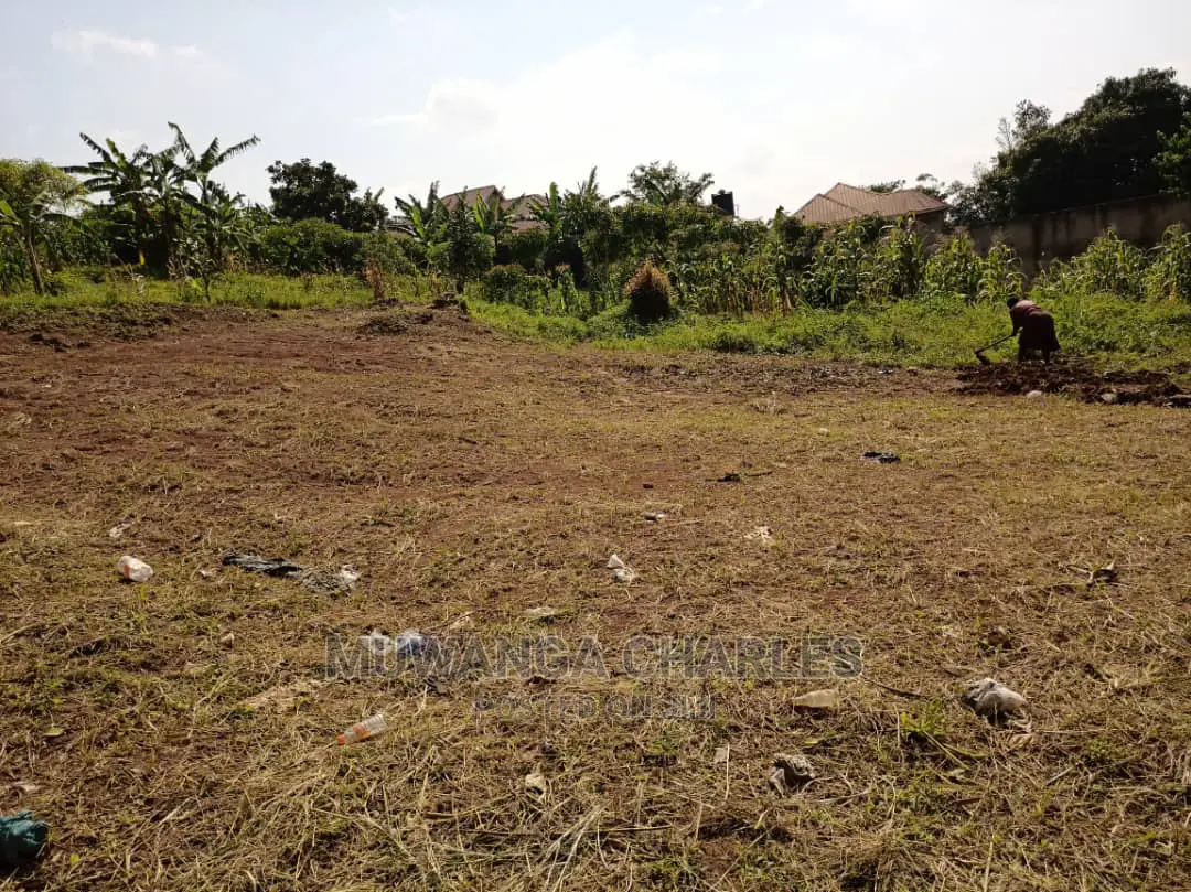 12decimals Is Available for Sale in Kira