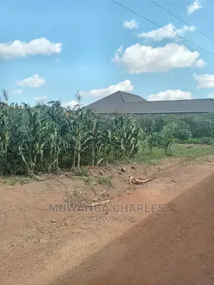 Plots Is for Sale in Matugga Bombo Road