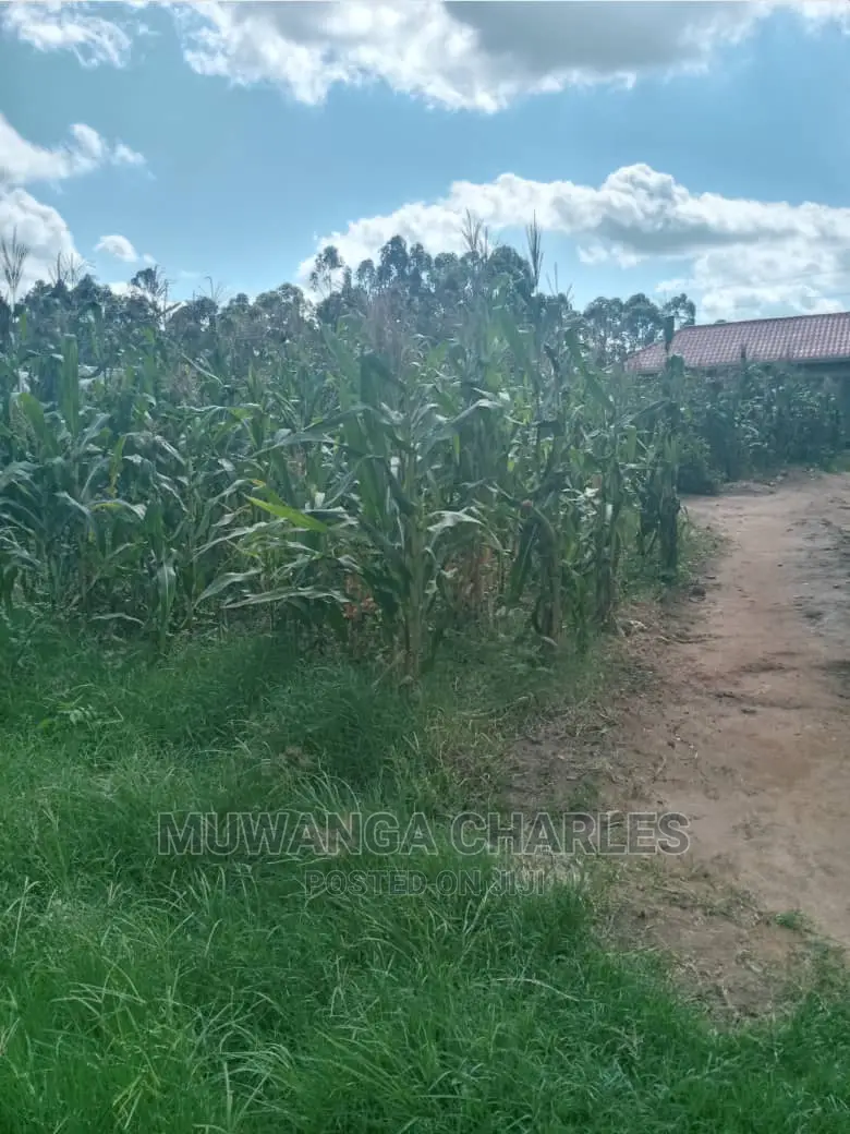 Plots Is for Sale in Matugga Bombo Road