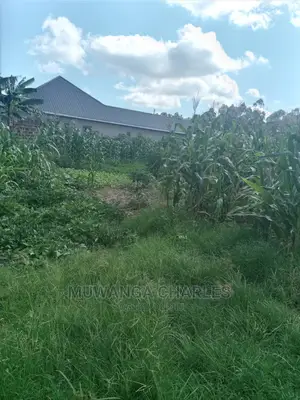 Plots Is for Sale in Matugga Bombo Road