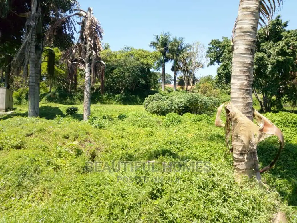 Kalangala Beach 10 Acres on Sell