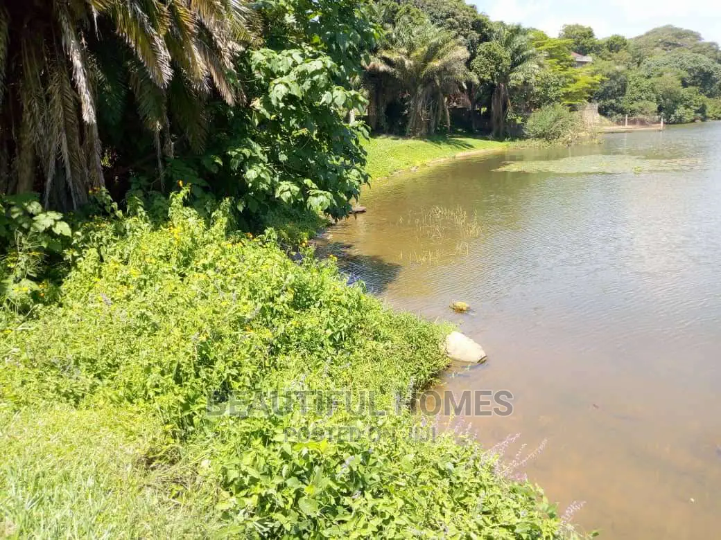 Kalangala Beach 10 Acres on Sell