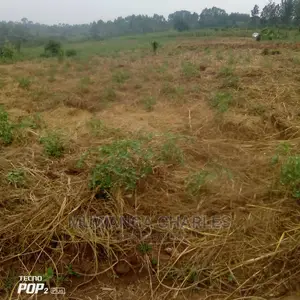 Plot's Is Available for Sale in Wakiso Namusera