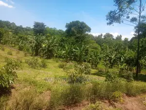 Plot's Is Available for Sale in Wakiso Namusera