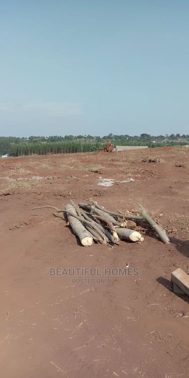 Kira Two Plots Near Tarmack on Sell
