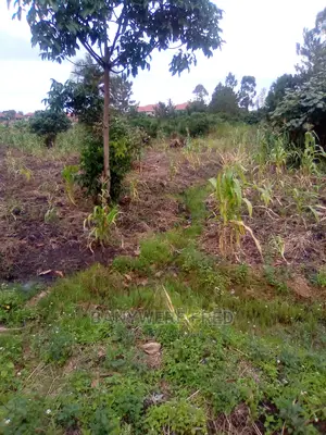 50/100 Plot for Sale in Kikiri Wakiso Behind Fuelex Petrol