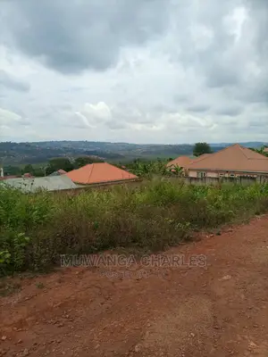 Plot Is Available for Sale in Kira