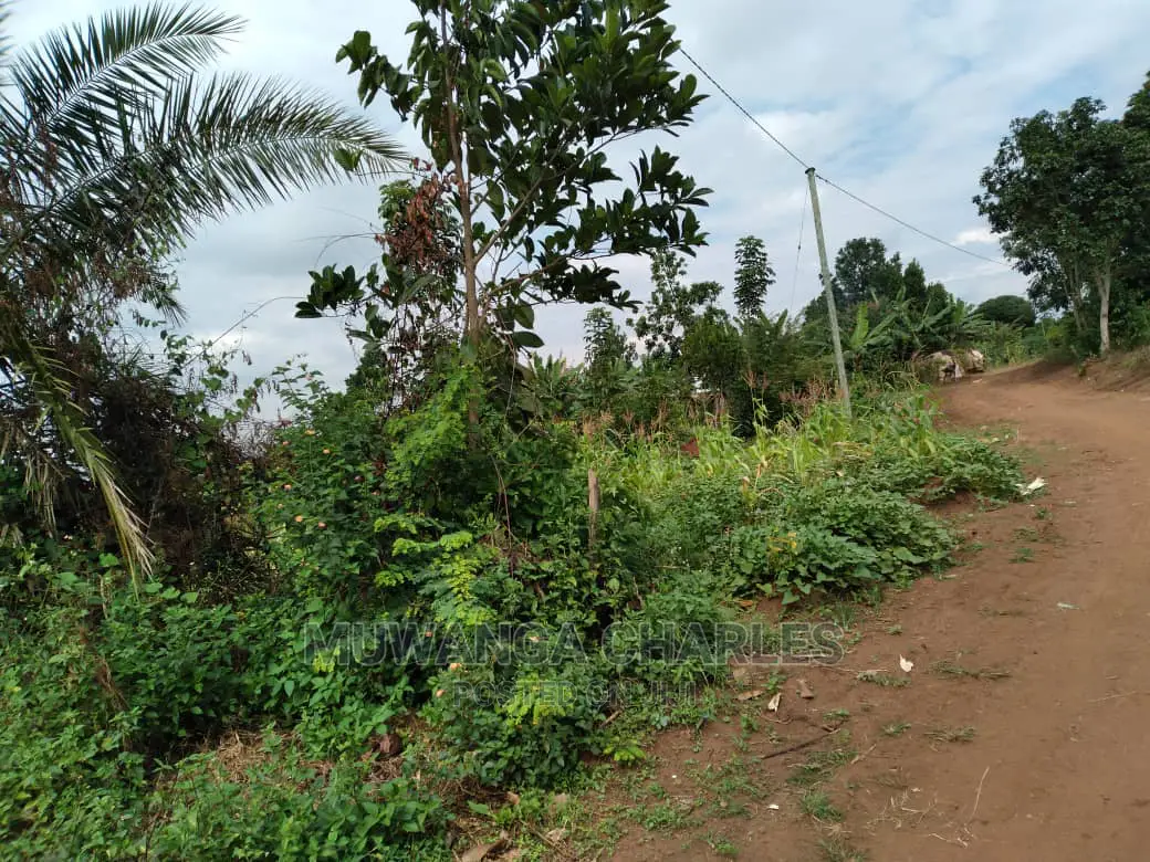 1acre of Land Is Available for Sale in Kiwenda