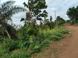 1acre of Land Is Available for Sale in Kiwenda