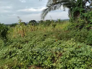 1acre of Land Is Available for Sale in Kiwenda