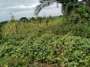 1acre of Land Is Available for Sale in Kiwenda