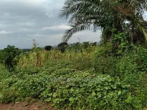 1acre of Land Is Available for Sale in Kiwenda