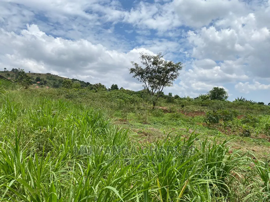 Plots Is Available for in Matugga Kigogwa