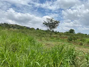Plots Is Available for in Matugga Kigogwa