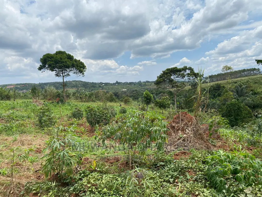 Plots Is Available for in Matugga Kigogwa