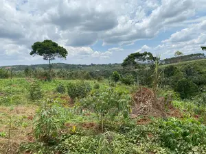 Plots Is Available for in Matugga Kigogwa
