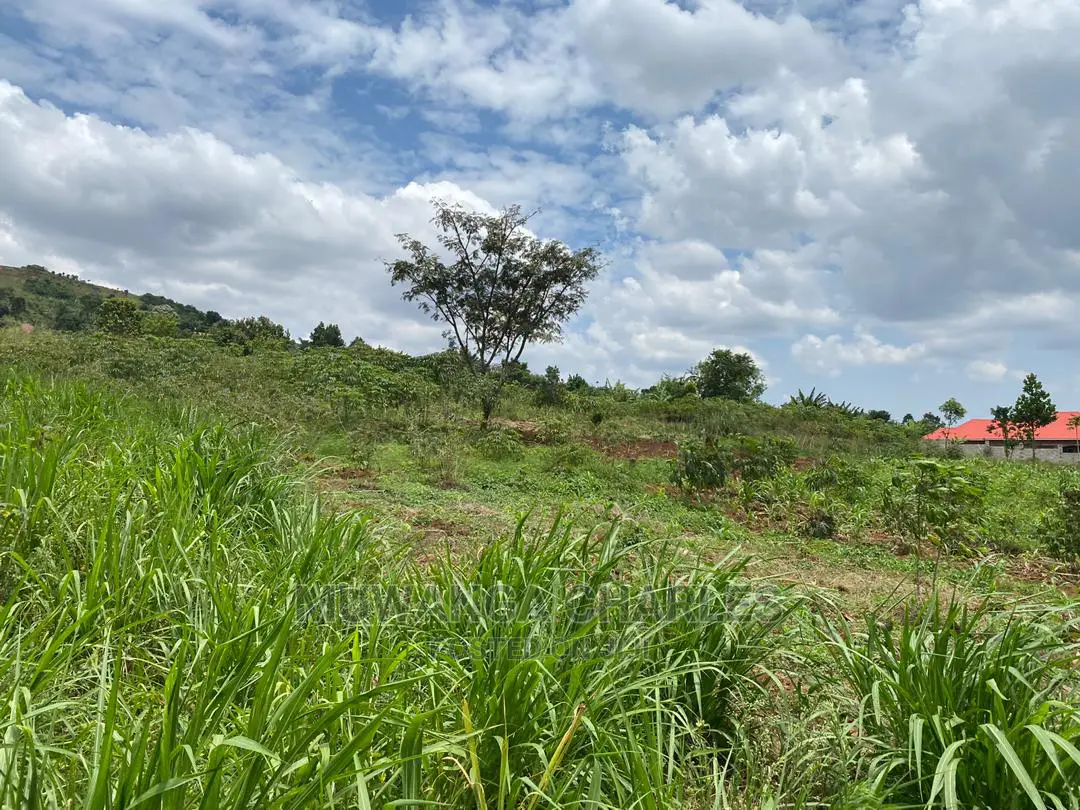 Plots Is Available for in Matugga Kigogwa