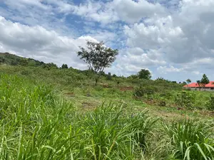 Plots Is Available for in Matugga Kigogwa
