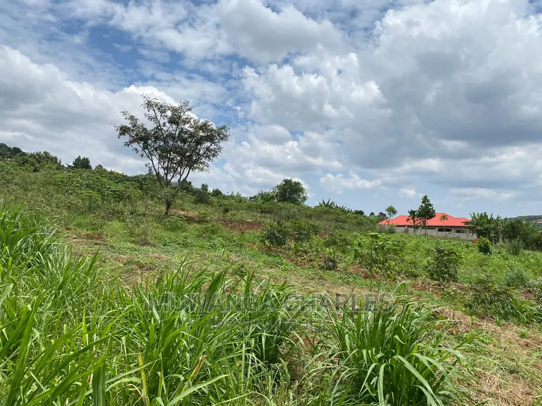Plots Is Available for in Matugga Kigogwa