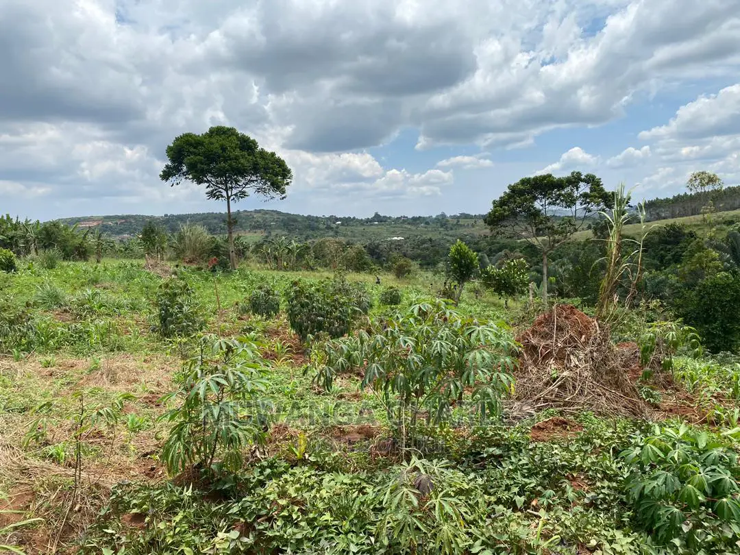 Plots Is Available for in Matugga Kigogwa