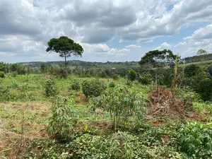 Plots Is Available for in Matugga Kigogwa