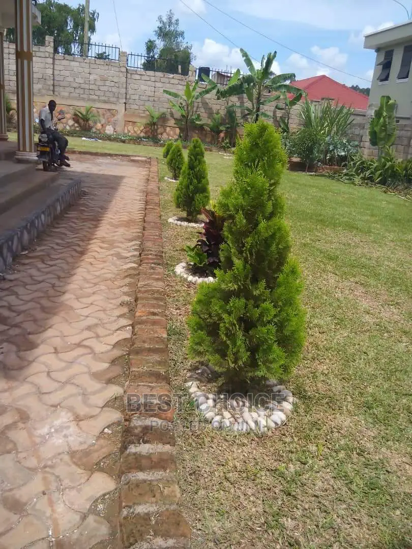 Gardening Pots Stones Plants Flowers Compound Designing.