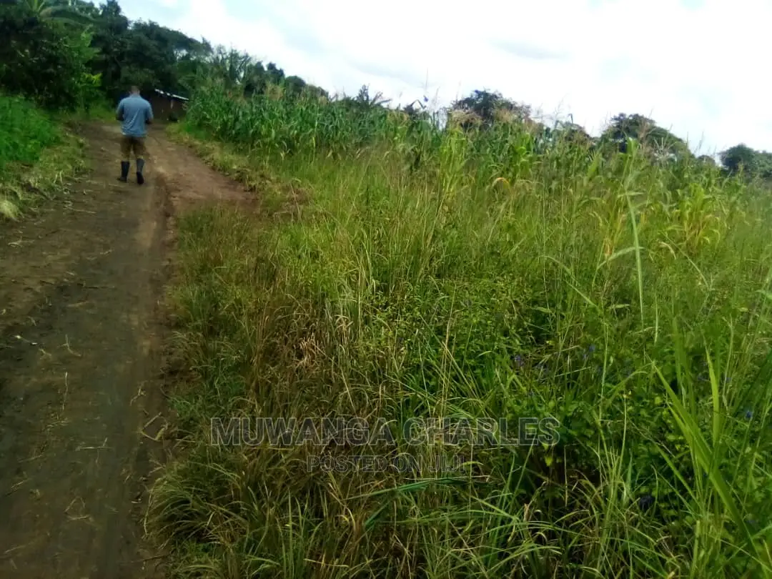 15acre's Is Available for Sale in Luwero