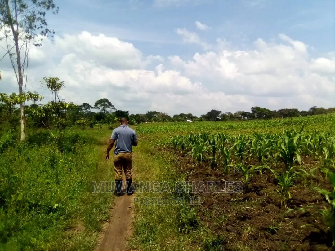 15acre's Is Available for Sale in Luwero