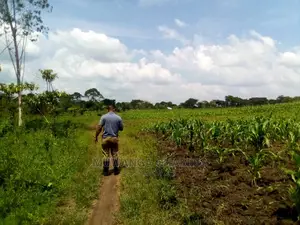 15acre's Is Available for Sale in Luwero