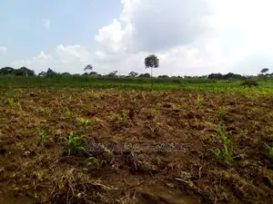 15acre's Is Available for Sale in Luwero