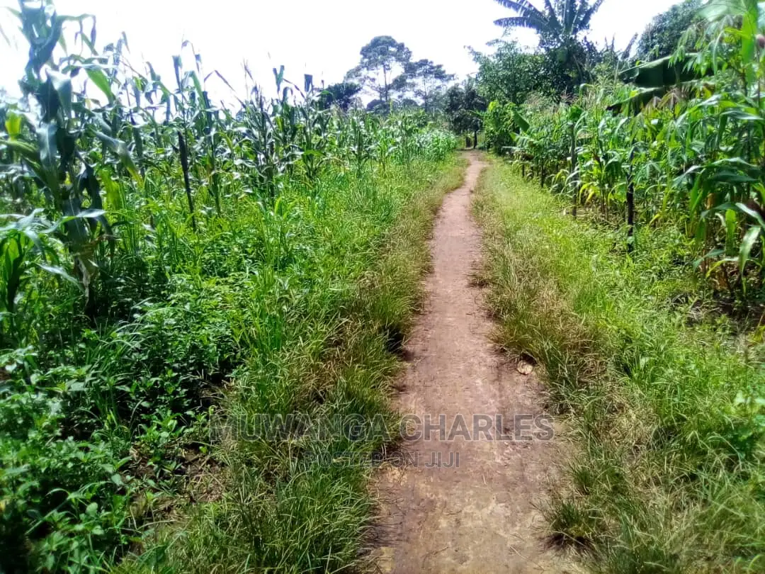 15acre's Is Available for Sale in Luwero