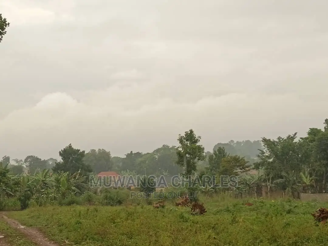 Plot Is Available for Sale in Matugga Sanga
