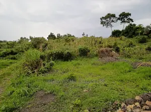 Plot Is Available for Sale in Matugga Migadde