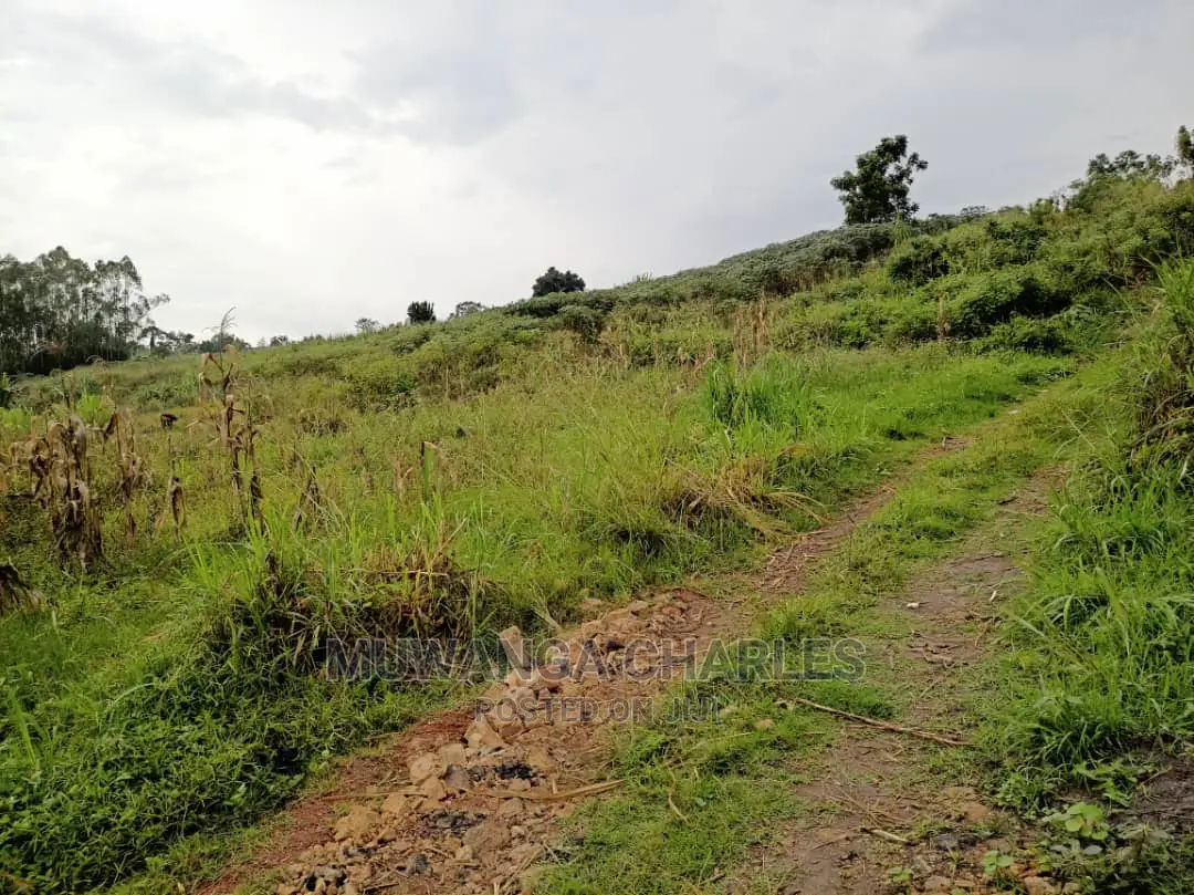 Plot Is Available for Sale in Matugga Migadde