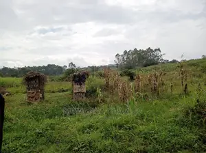 Plot Is Available for Sale in Matugga Migadde