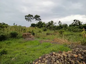 Plot Is Available for Sale in Matugga Migadde