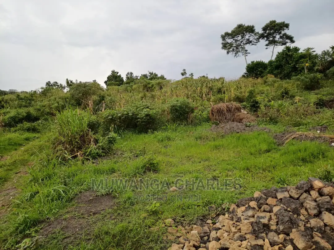 Plot Is Available for Sale in Matugga Migadde