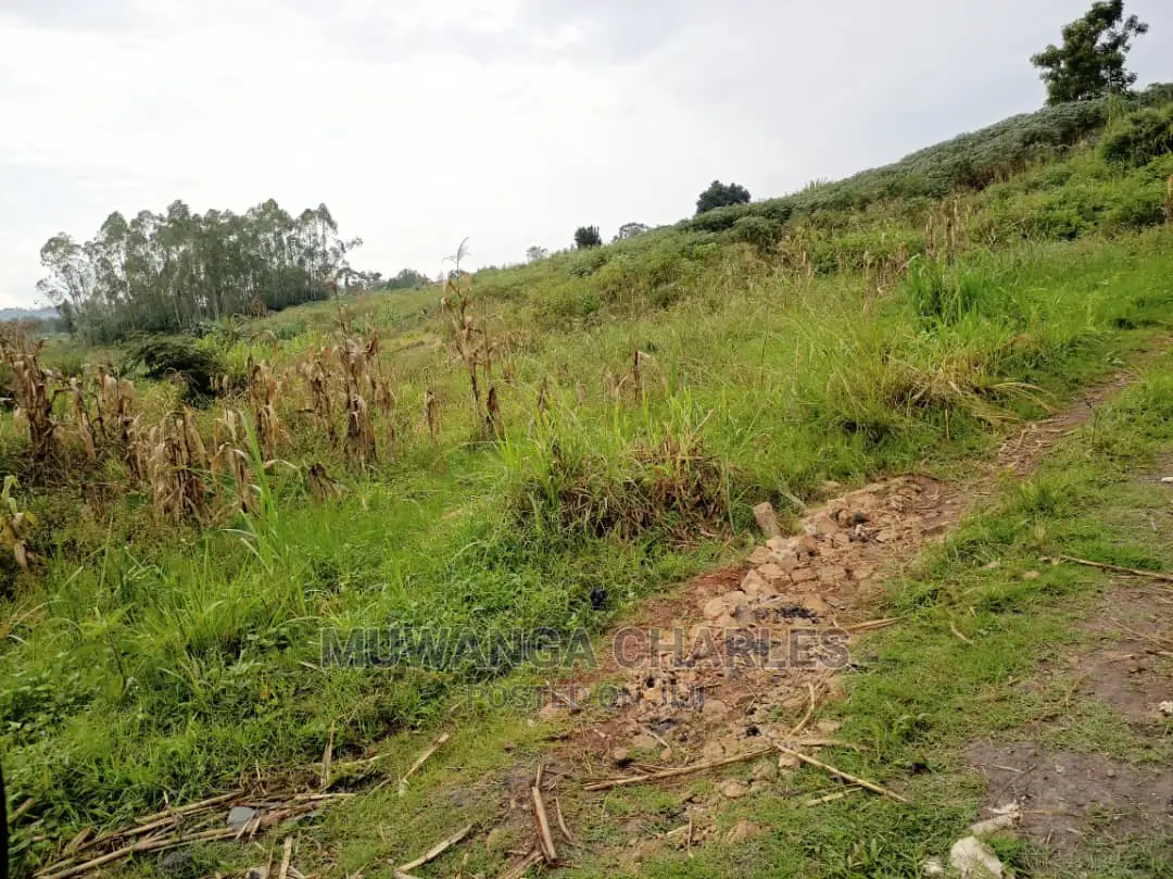Plot Is Available for Sale in Matugga Migadde