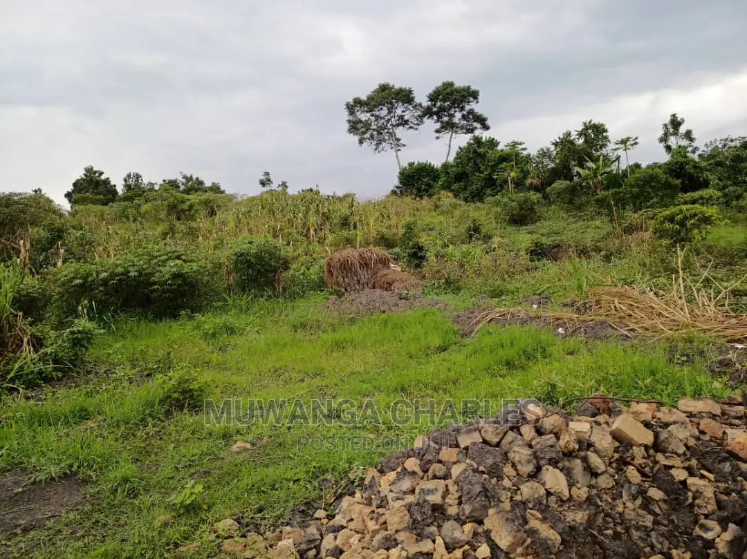 Plot Is Available for Sale in Matugga Migadde