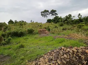 Plot Is Available for Sale in Matugga Migadde