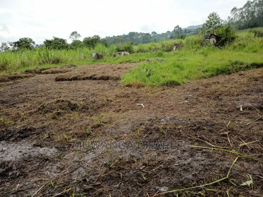 Plot Is Available for Sale in Mutugga Migadde
