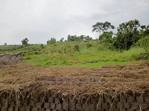 Plot Is Available for Sale in Mutugga Migadde