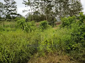 Plot Is Available for Sale in Mutugga Migadde