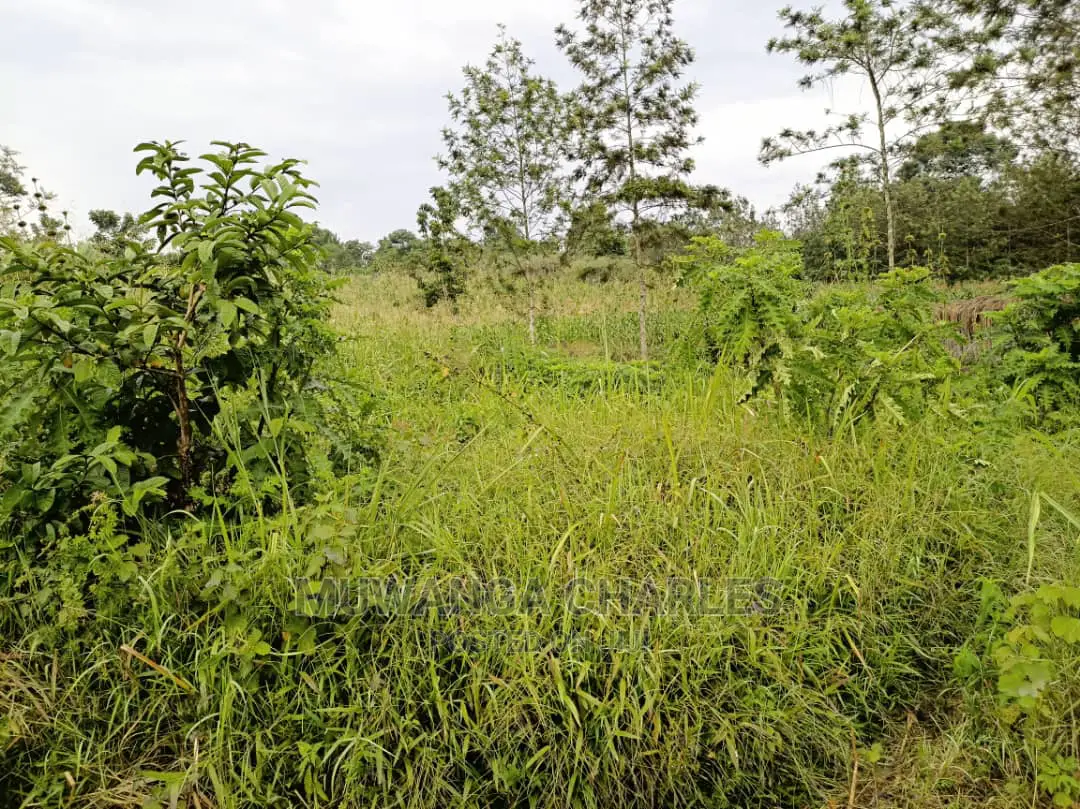 Plot Is Available for Sale in Mutugga Migadde