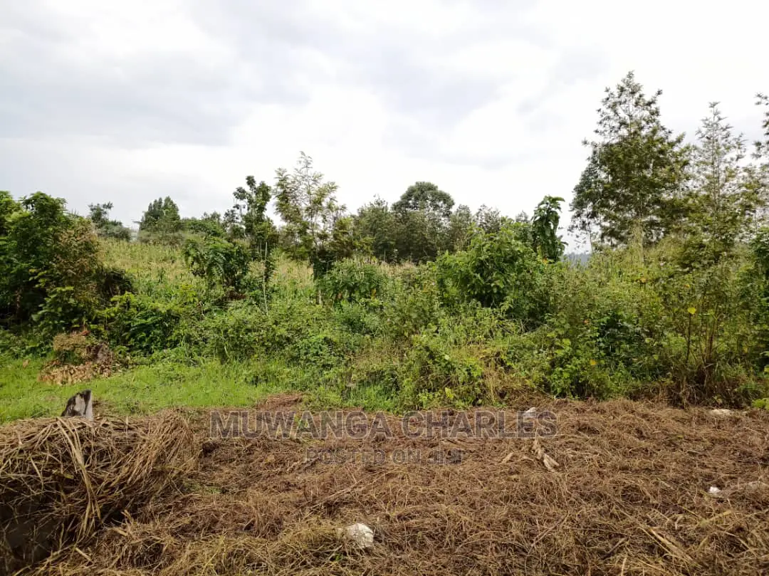 Plot Is Available for Sale in Mutugga Migadde