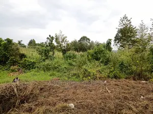Plot Is Available for Sale in Mutugga Migadde