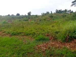 Plot Is Available for Sale in Matuga Migadde