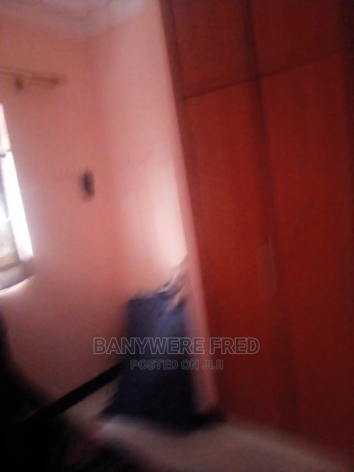 Furnished 2bdrm Bungalow in Wakiso for Rent
