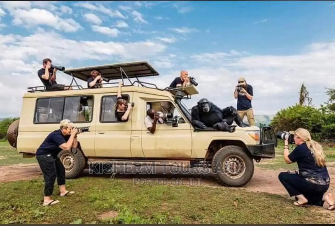 We Offer the Best Service,Bridal Cars and Safari Cars