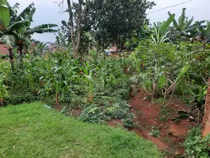 10acre's Is Available for Sale in Mukono